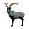 SRT Ziele 3D Iberian Ibex