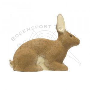 SRT Ziele 3D Rabbit