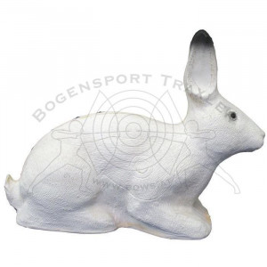 SRT Ziele 3D Polar Rabbit