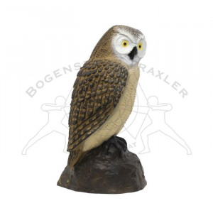SRT Ziele 3D Little Screech Owl