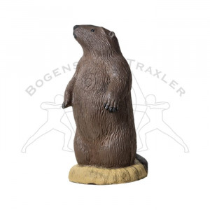 Rinehart Ziele 3D Groundhog