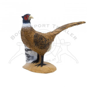 SRT Ziele 3D Pheasant