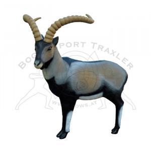 SRT Ziele 3D Iberian Ibex