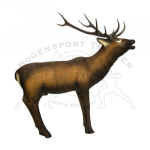 SRT Ziele 3D Elk