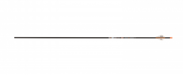 Skylon Instec Pfeil